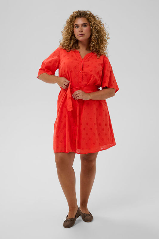 Liona Dress